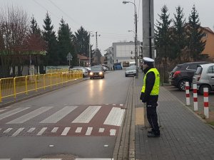 policyjne działania w rejonie szkół