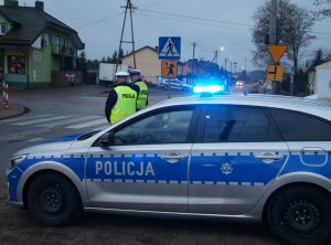 Widoczny w drodze do szkoły na terenie gminy Dąbrówka