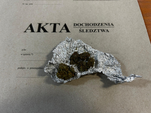 Zabezpieczone środki odurzające